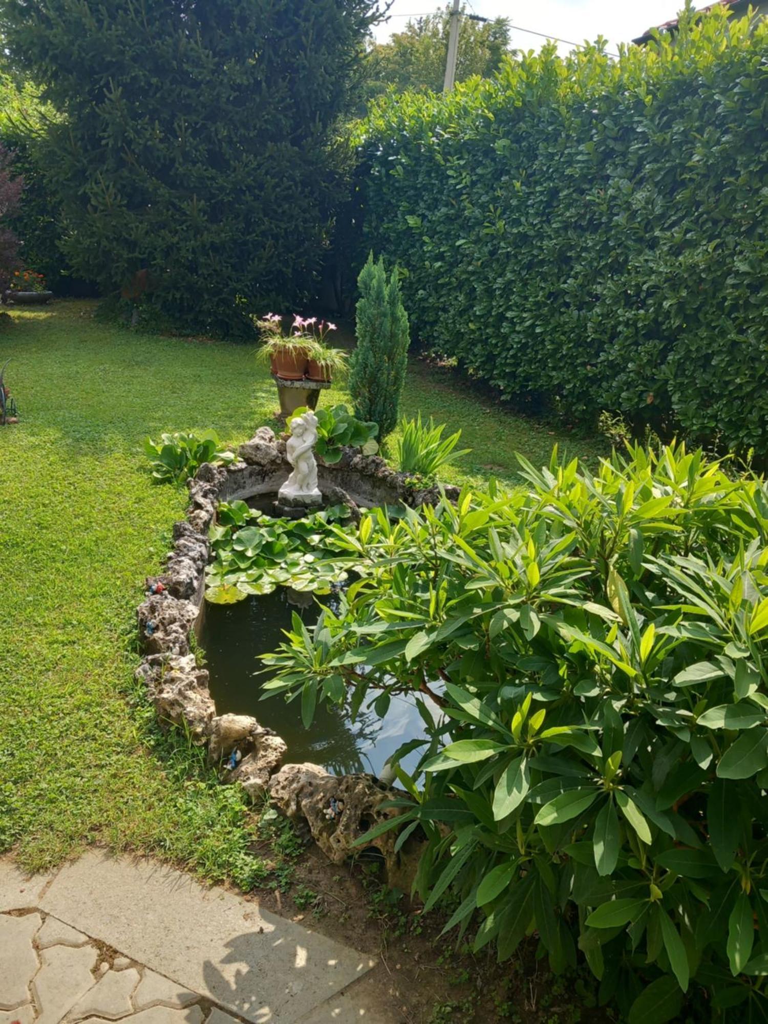 Il Laghetto Bed & Breakfast Torre Canavese Exterior foto