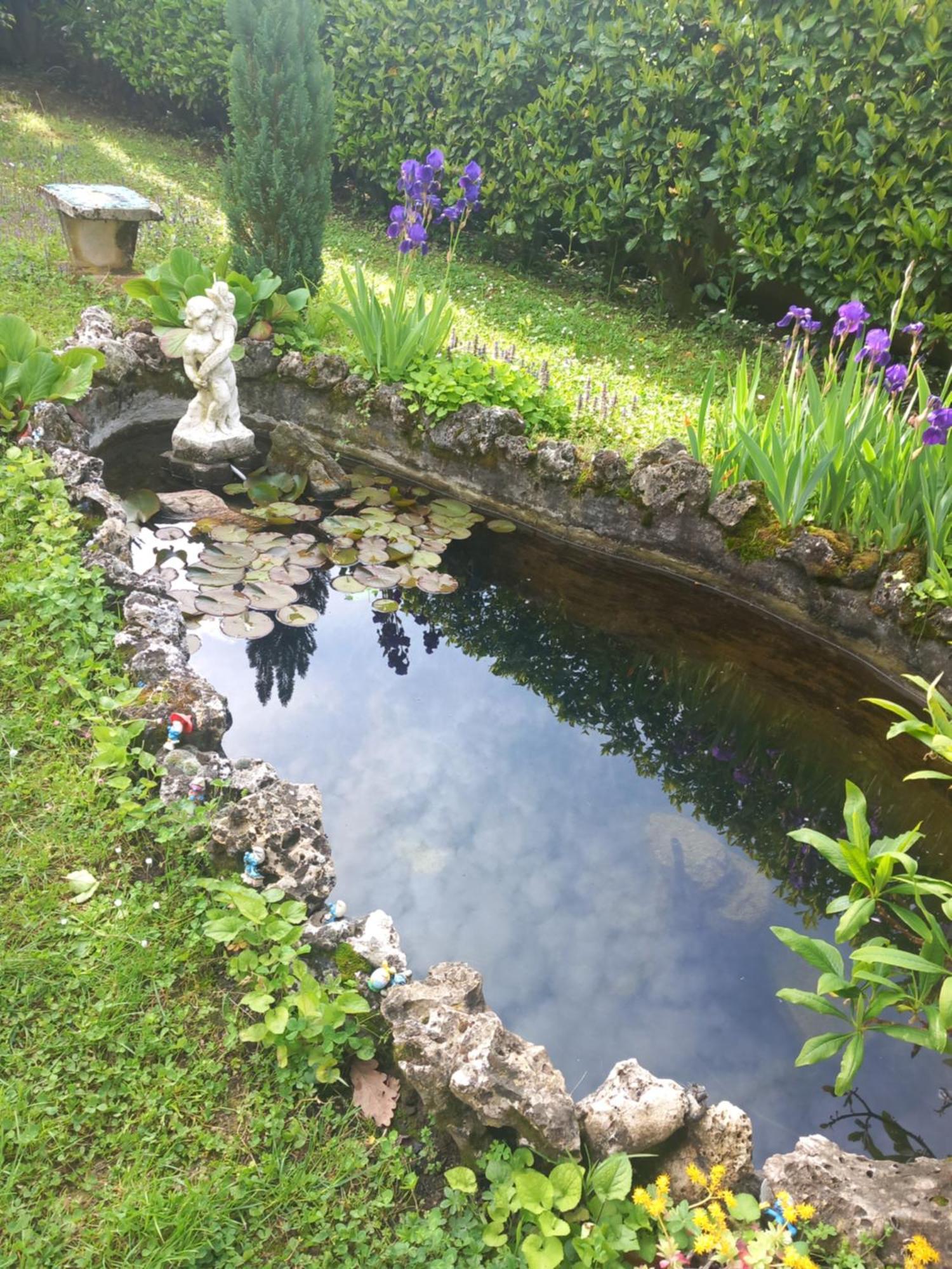Il Laghetto Bed & Breakfast Torre Canavese Exterior foto